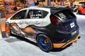 Ford Focus & Fiesta for SEMA