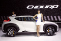 Hyundai Enduro Concept